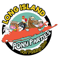 long-island-pony-paties-up