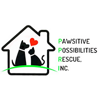 pawsitive-up